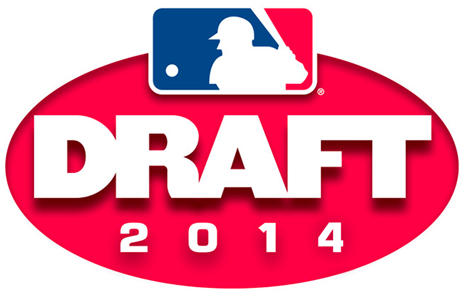 MLB Draft 2014 Primary Logo t shirts iron on transfers